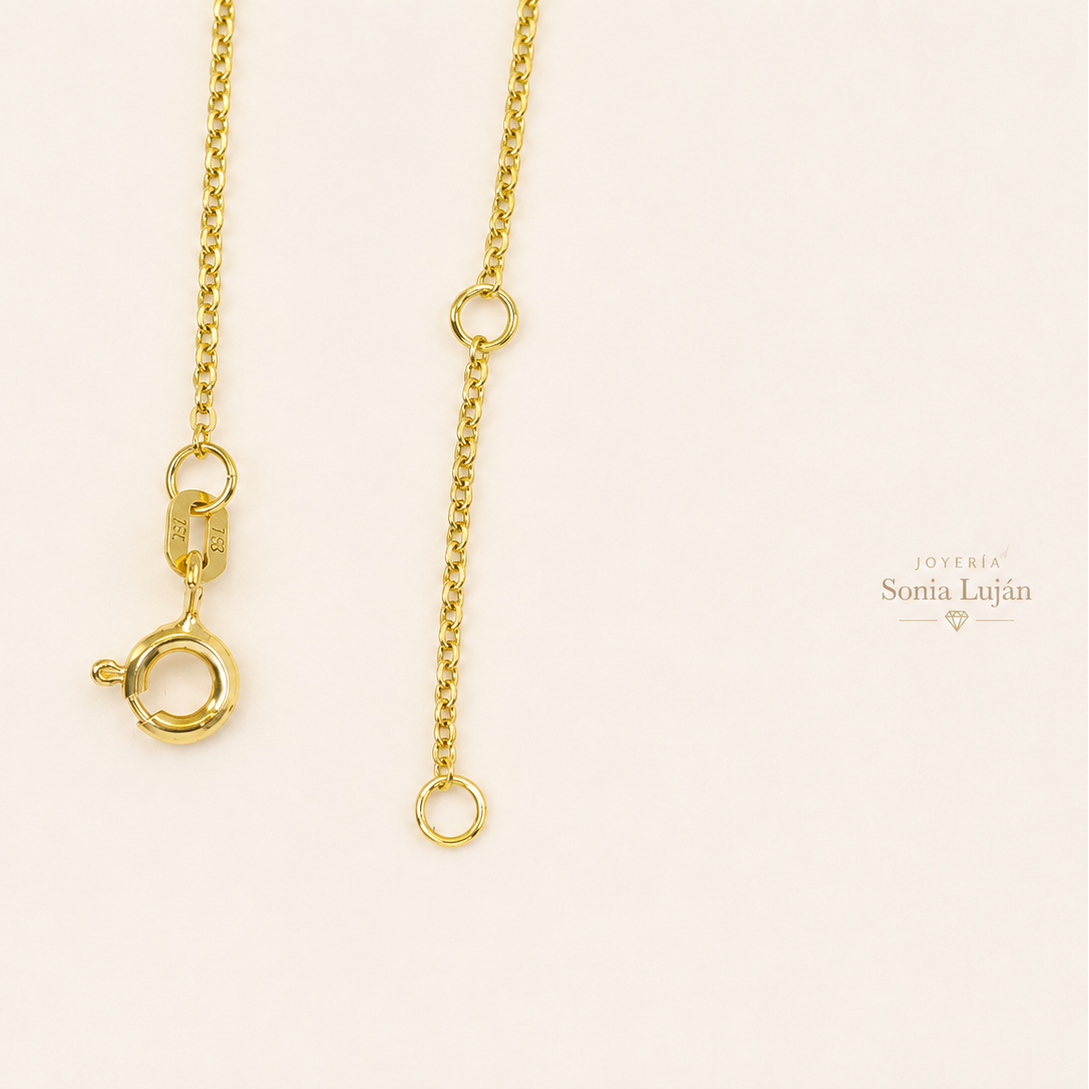 Mariposa De oro